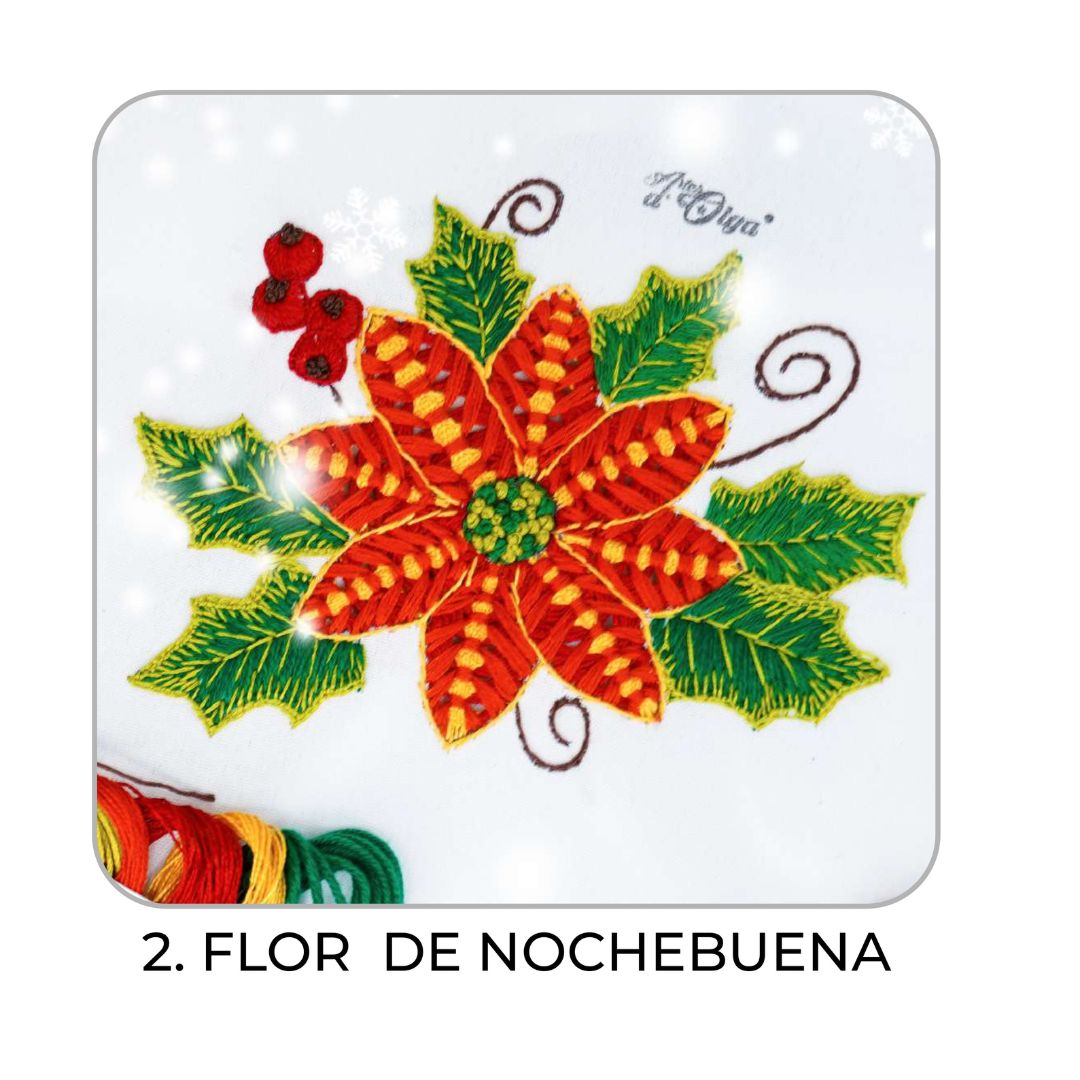 2 – Flor de Nochebuena