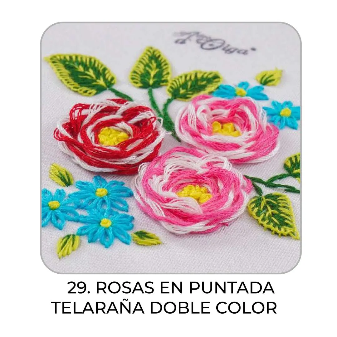 29 – Rosas en puntada telaraña doble color_7
