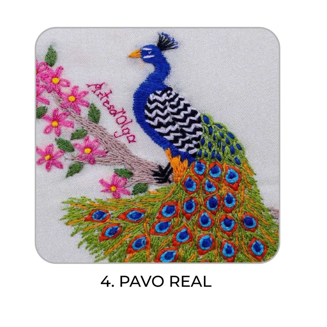 4 – Pavo Real