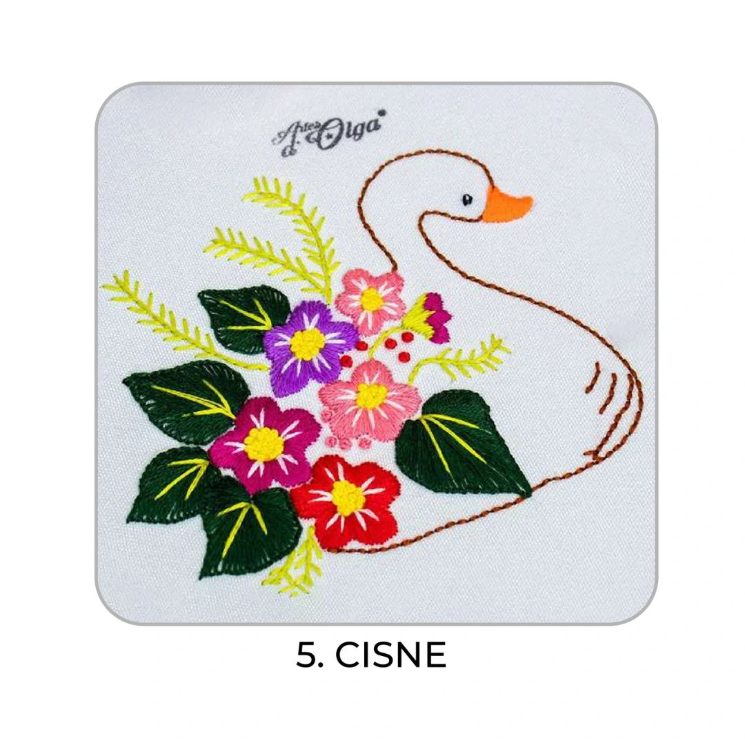 5 – Cisne
